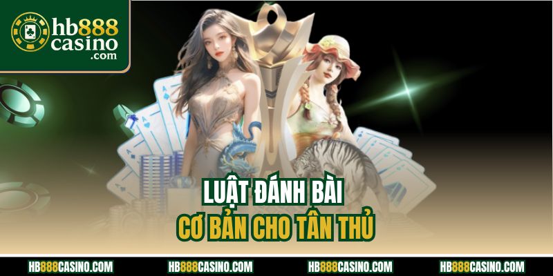 Luật đánh bài cơ bản cho tân thủ