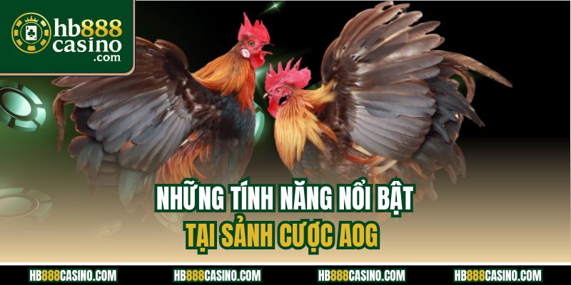 Những tính năng nổi bật tại sảnh cược AOG