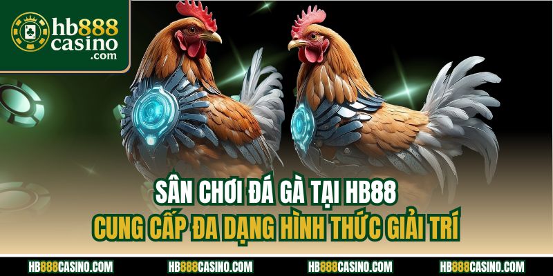 Sân chơi đá gà tại HB88 cung cấp đa dạng hình thức giải trí