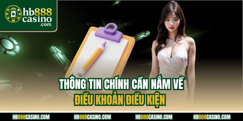 Thông tin chính cần nắm về điều khoản điều kiện