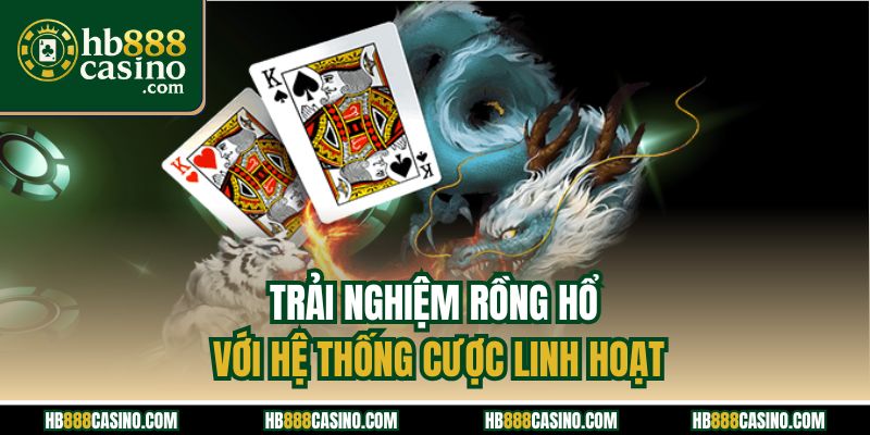 Trải nghiệm Rồng Hổ với hệ thống cược linh hoạt