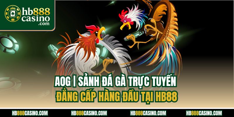 AOG | Sảnh Đá Gà Trực Tuyến Đẳng Cấp Hàng Đầu Tại HB88